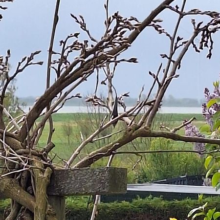 Gastenhuis Amstelmeerzicht. Westerland Exteriör bild