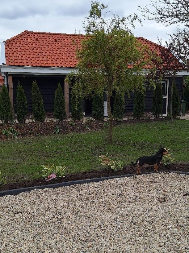 Gastenhuis Amstelmeerzicht. Westerland Exteriör bild