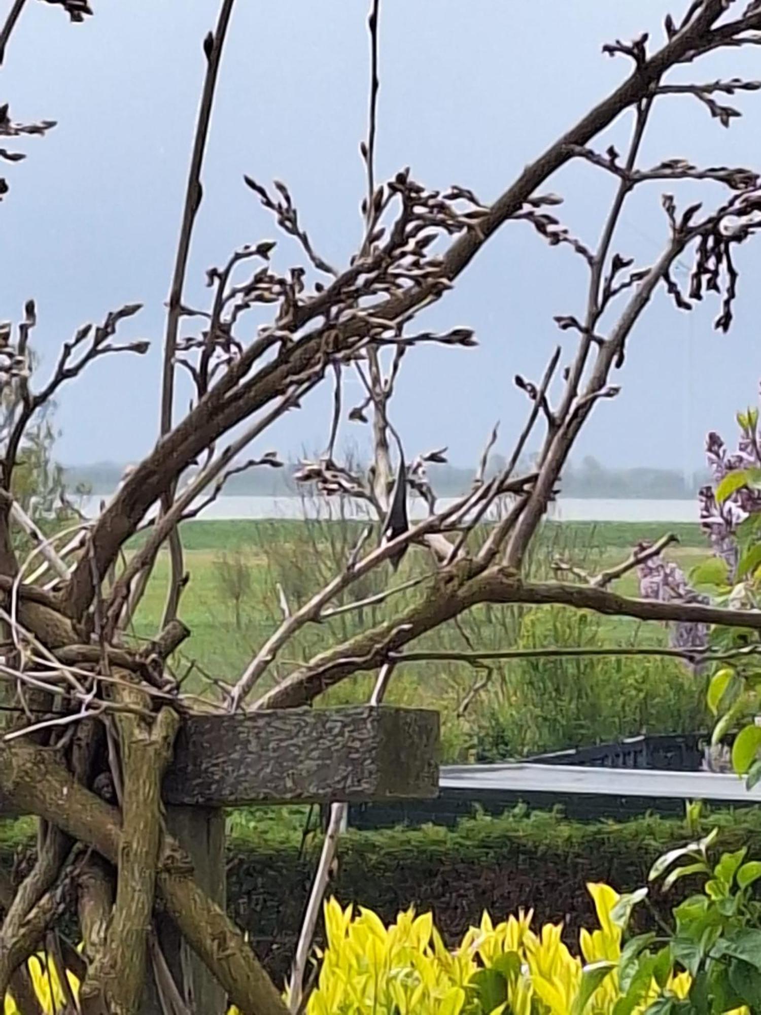 Gastenhuis Amstelmeerzicht. Westerland Exteriör bild